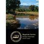 Free Booklet: The Baptism Series