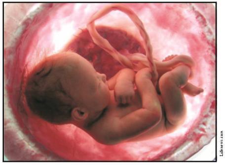 Adam Nine Month Miracle Download